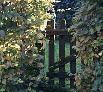 Fencing